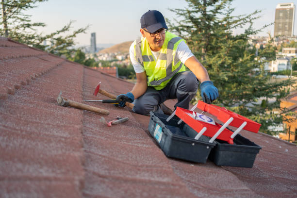 Best Historical Building Siding Restoration  in Dalhart, TX